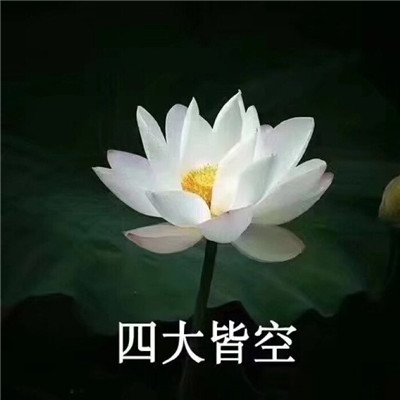 危险啊现在
