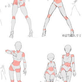 绘画人体参考