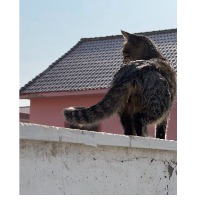 KDWOASD