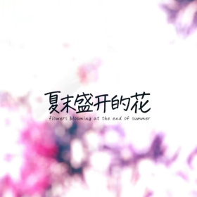 回首我与《夏末盛开的花》一同走过的青春，以及这七年漫长的旅路