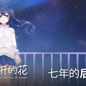 回首我与《夏末盛开的花》一同走过的青春，以及这七年漫长的旅路