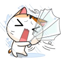 陌物