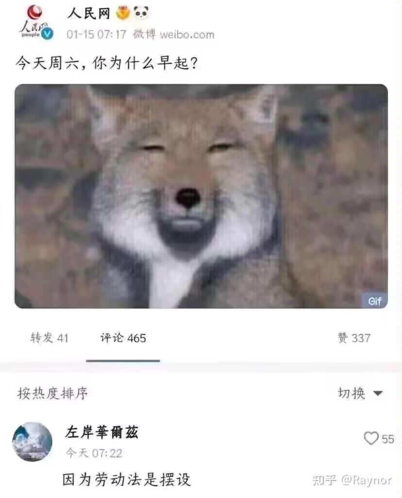 ブシー_ガメン